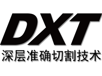 DXT׼ȷи