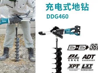 ʽDDG460
