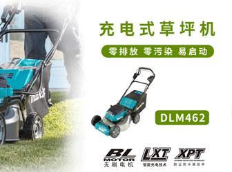 DLM462ƺ